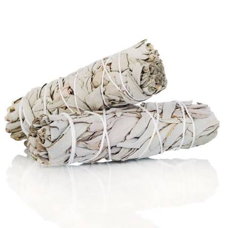 White Sage Bundle 4 Inches – Purify, Cleanse & Bring Positive Energy